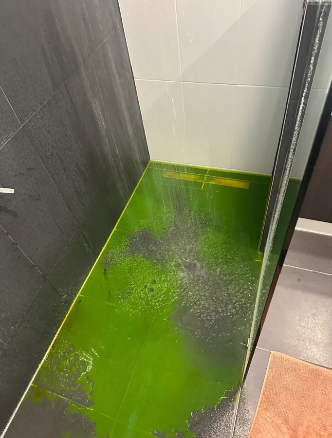 Shower leak investigation using coloured water