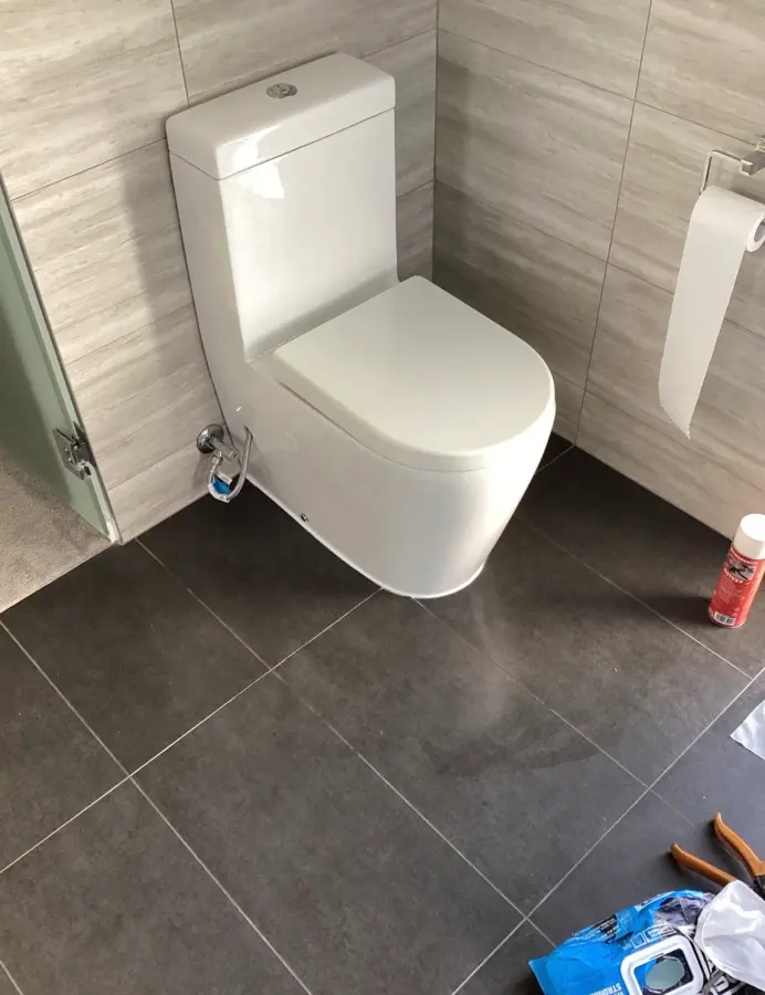 White toilet suite in a tiled bathroom